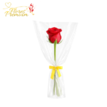 ROSA DIA DE LA MUJER